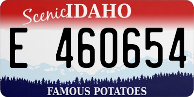 ID license plate E460654