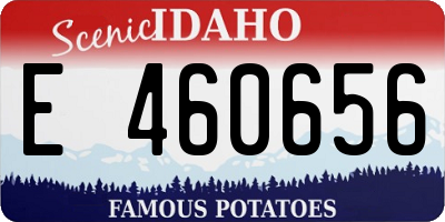 ID license plate E460656