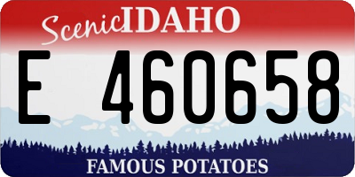 ID license plate E460658