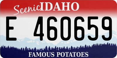 ID license plate E460659
