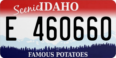 ID license plate E460660