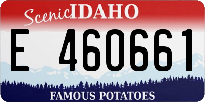 ID license plate E460661
