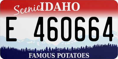 ID license plate E460664