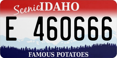 ID license plate E460666