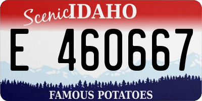 ID license plate E460667