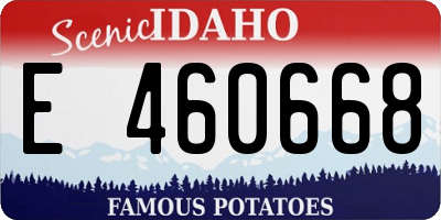 ID license plate E460668