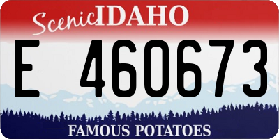 ID license plate E460673