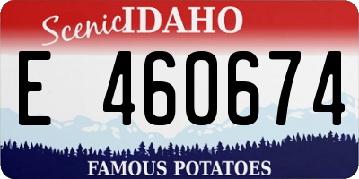 ID license plate E460674