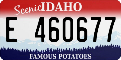 ID license plate E460677