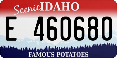 ID license plate E460680