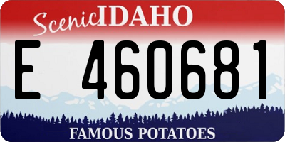 ID license plate E460681