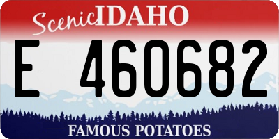 ID license plate E460682
