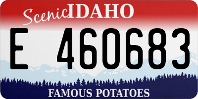 ID license plate E460683
