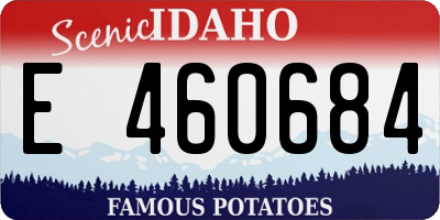 ID license plate E460684