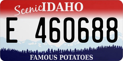 ID license plate E460688