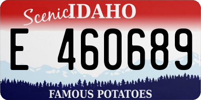 ID license plate E460689