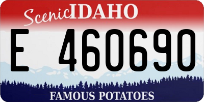 ID license plate E460690