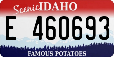 ID license plate E460693