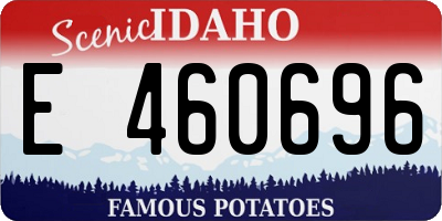 ID license plate E460696