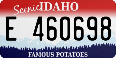ID license plate E460698