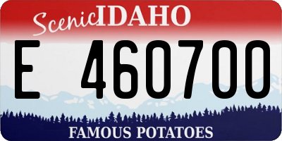 ID license plate E460700