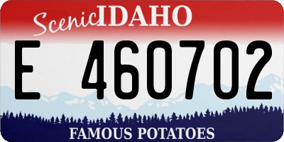 ID license plate E460702