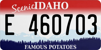 ID license plate E460703