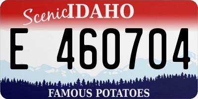 ID license plate E460704
