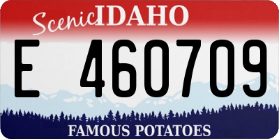 ID license plate E460709