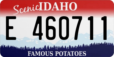 ID license plate E460711
