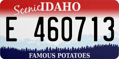 ID license plate E460713