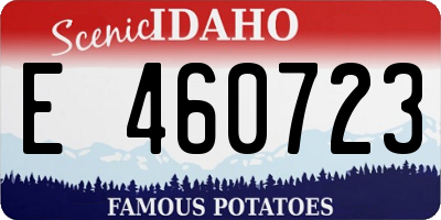 ID license plate E460723