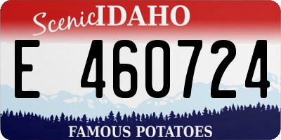 ID license plate E460724