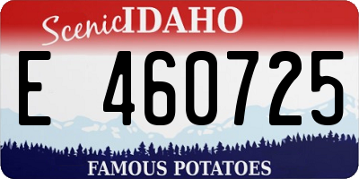 ID license plate E460725