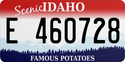 ID license plate E460728