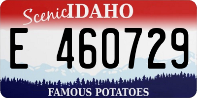 ID license plate E460729
