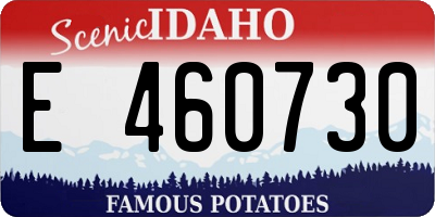 ID license plate E460730