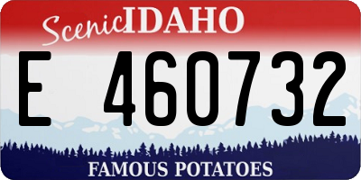 ID license plate E460732