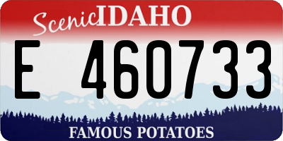 ID license plate E460733