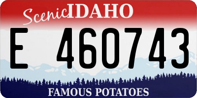 ID license plate E460743