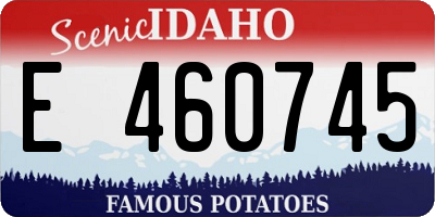 ID license plate E460745