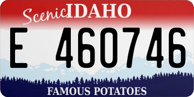 ID license plate E460746
