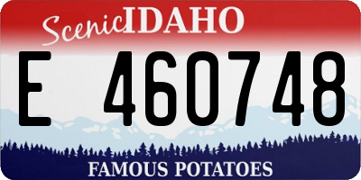 ID license plate E460748