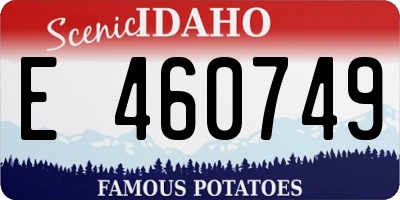 ID license plate E460749