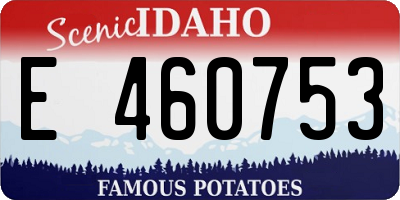 ID license plate E460753