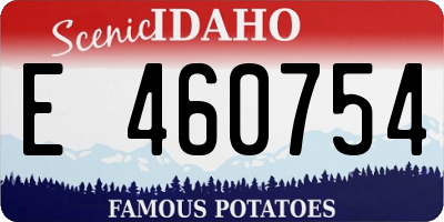 ID license plate E460754