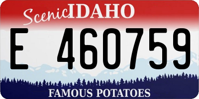 ID license plate E460759