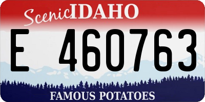 ID license plate E460763