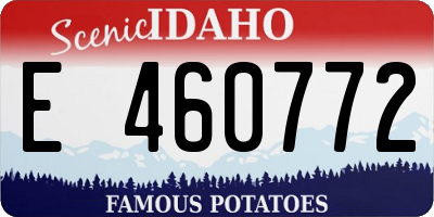 ID license plate E460772