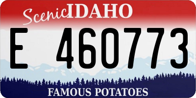 ID license plate E460773